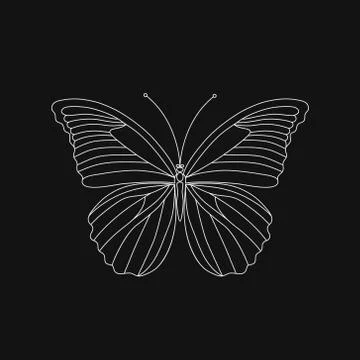 Vector. Abstract polygonal butterfly Stock Illustration