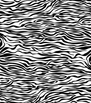 Vector abstract skin texture of zebra Illustrazione stock
