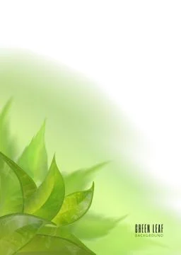 Vector abstract watercolor imitation background with leaves. Design template Stock Illustration