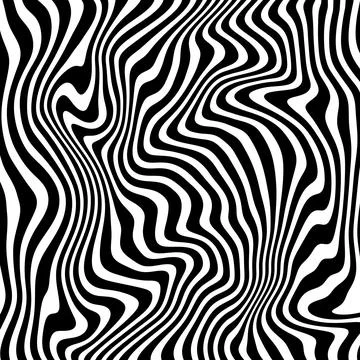 Vector abstract zebra texture. Graphic design. Pattern, texture. Stock Illustration