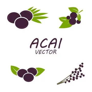 Vector Acai icons set Stock Illustration