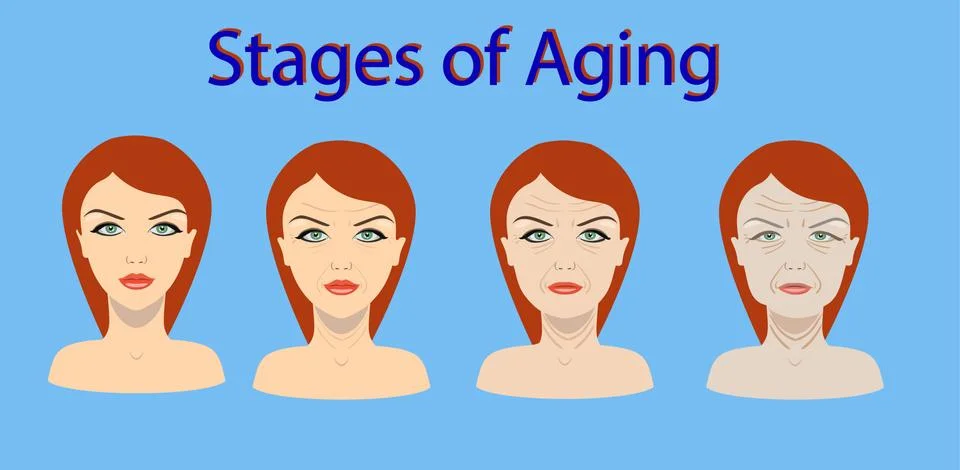 Vector aging process. Four stages of face changing Stock Illustration