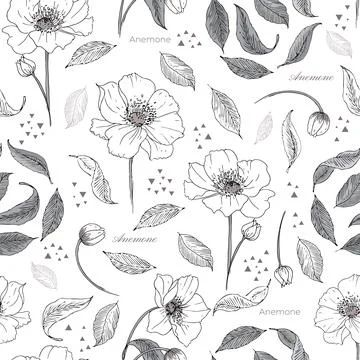 Vector anemone flowers seamless pattern print background. Stock Illustration