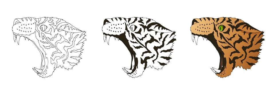 Vector angry leopard portrait. Tiger predator head colored and doodle isolated Stockillustratie