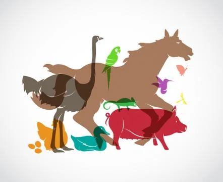 Vector animal group on white background, horse,pig,chicken,parrot,duck,butter Stock Illustration