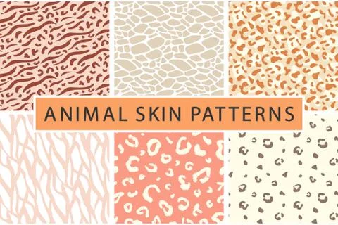 Vector animal leopard skin texture print seamless pattern Illustrazione stock