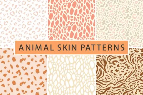 Vector animal leopard skin texture print seamless pattern collection Stock Illustration