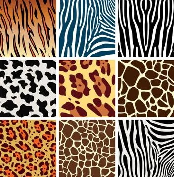 Vector animal skin textures Stock Illustration