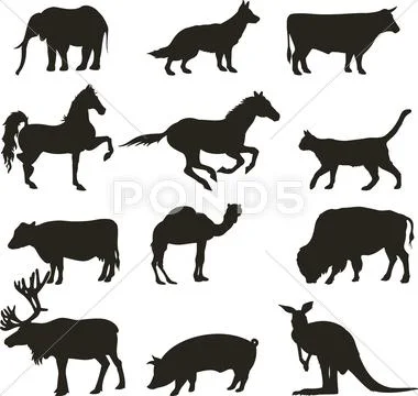 Vector animals Stock Illustration