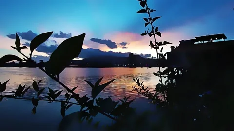 Vector anime simple sunset over the river with a branch Vídeos de archivo 160448431