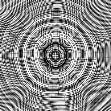 Vector annual rings in cut tree Stock Illustration