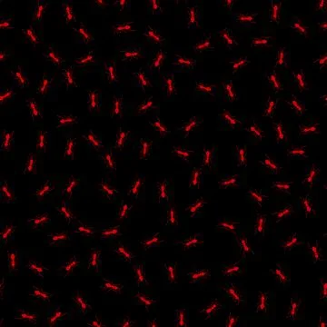 Vector Ants Seamless Pattern Stock Illustration