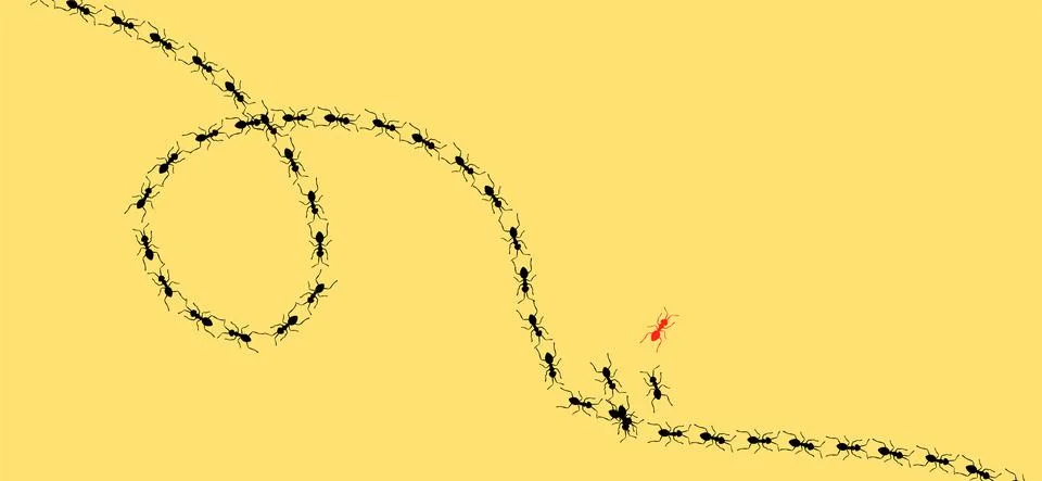 Vector Ants Seamless Pattern Stock Illustration