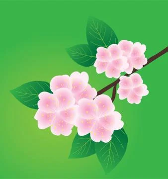 Vector apple blossom flowers Illustrazione stock