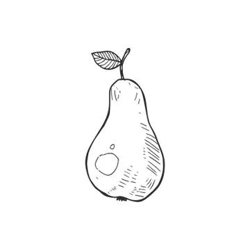 Vector apple icon Stock Illustration