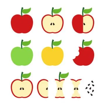 Vector apple illustration set Stock-Illustration
