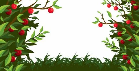 Vector apple plantation Stock Illustration