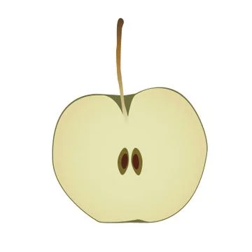 Vector apple on the white background Stock Illustration