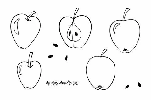 Vector Apples clipart set. Doodle sketch illustration. Whole apple, half apple Stock Illustration