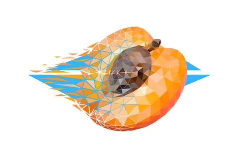 Vector apricot in low poly style Illustrazione stock