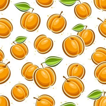 Vector Apricot Seamless Pattern Stock-Illustration