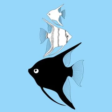 Vector  aquarium fish angelfish Stock Illustration