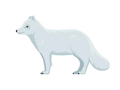Vector arctic fox Illustrazione stock