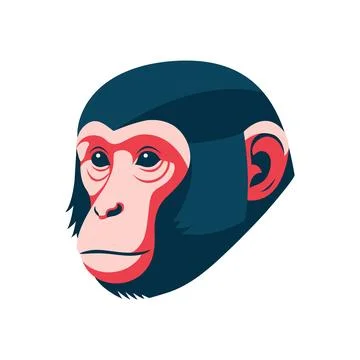 Vector art of monkey quarter face on white background Illustrazione stock