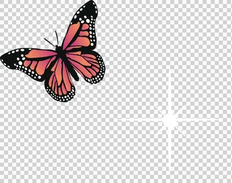 Vector art is showing monarch-like butterfly flying beside star sparkle on Stock Illustration
