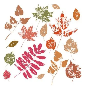 Vector autumn abstract set of bright leaves. Hand painted fall plants isolated Stock Illustration