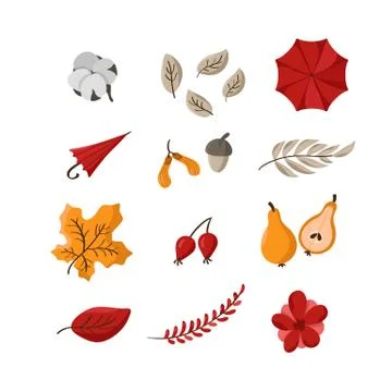 Vector autumn cute set. Hand drawn fall elements leaves, umbrella, cotton 스톡 일러스트