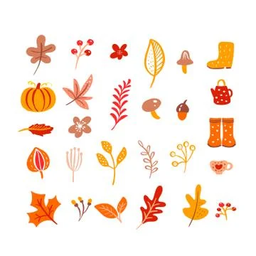 Vector autumn elements. Mushroom, acorn, maple leaves and pumpkin isolated on イラスト素材