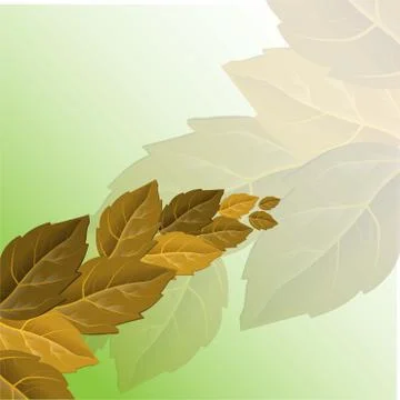 Vector autumn illustration. Beautiful tree foliage fall seasonal background p Stock Illustration