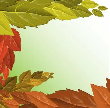 Vector autumn illustration. Beautiful tree foliage fall seasonal background p Stock Illustration