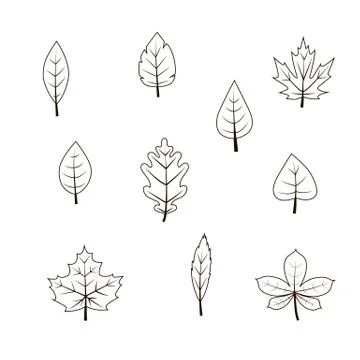 Vector autumn leaf icon set Illustrazione stock