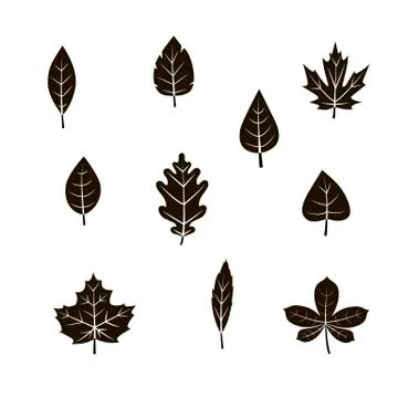 Vector autumn leaf icon set Stock Illustration