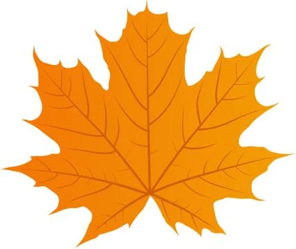 Vector autumn leaf Stock Illustration