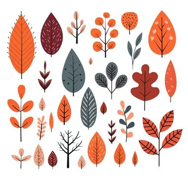 Vector autumn leaf, linear drawn leaves, illustration of modern decor for p.. Stock Illustration