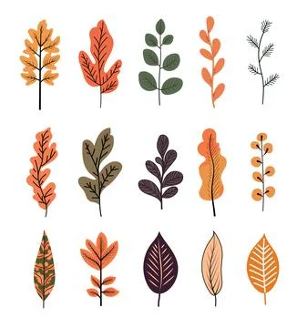 Vector autumn leaf, linear drawn leaves, illustration of cartoon decor for .. Stock Illustration