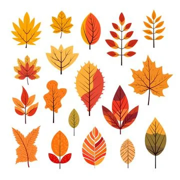 Vector autumn leaf, linear orange, yellow leaves, illustration of fashionab.. Stock Illustration