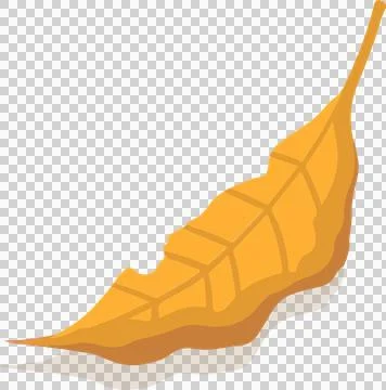 Vector autumn leaf is slanting and showing veins and shadow on transparent 스톡 일러스트