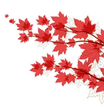 Vector autumn leaves Stock Illustration
