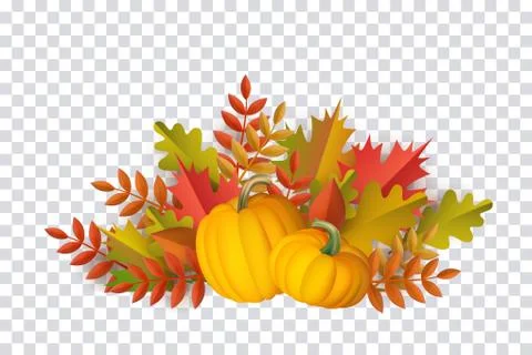 Vector autumn leaves, pumpkin pattern Illustrazione stock