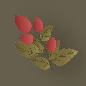 Vector autumn paper cut 3d rose hips branch イラスト素材