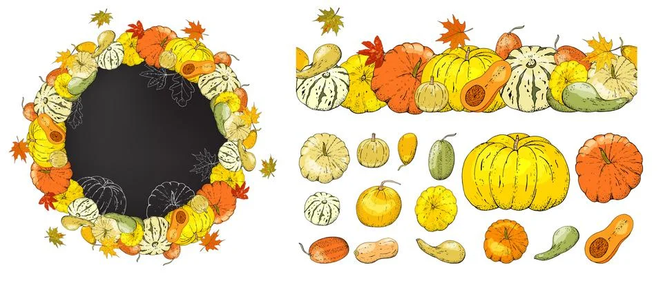 Vector autumn set of Pumpkins and leaves isolated on white background. Stock Illustration