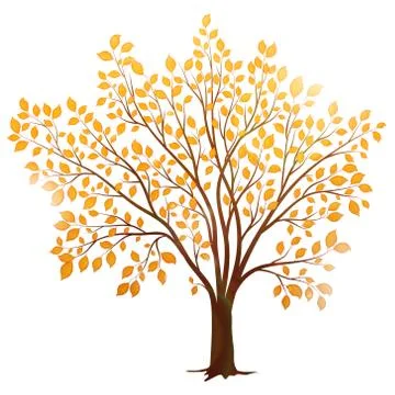 Vector autumn tree with leaves isolated on white background Stock Illustration