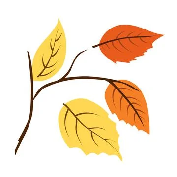 Vector autumn yellow and orange dry alder leaves. Clipart is on white backgro Stock Illustration
