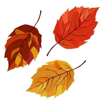 Vector autumn yellow and orange dry birch leaves. Flat illustration with br.. Stock Illustration