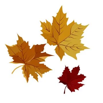 Vector autumn yellow dry maple leaves. Flat illustration with brown plants .. Stock Illustration