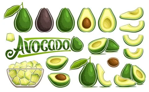 Vector Avocado Set 库存插图